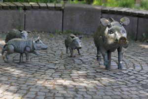 Wildsauplatz in Martinsthal