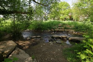 Wallufbach im Wiesental in Martinsthal