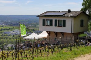 Weinbergshaus in Martinsthal